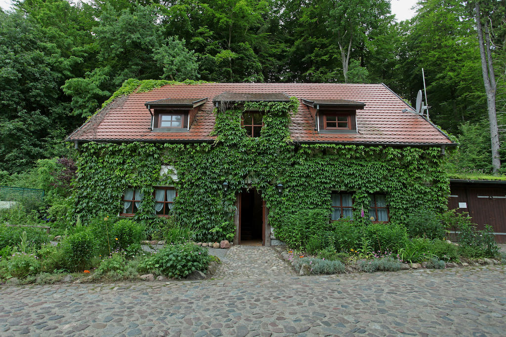 Hotel Boltenmuehle Guhlen Glienicke Стая снимка
